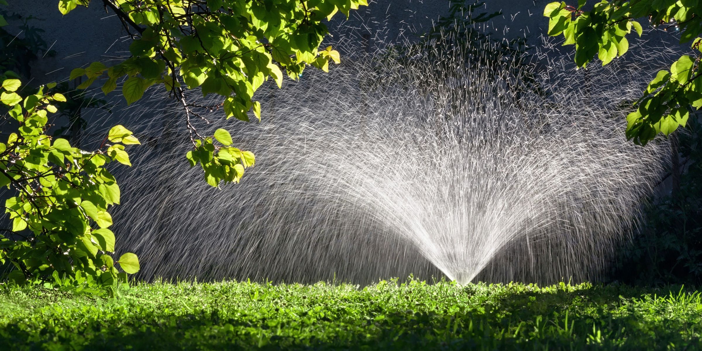 Irrigation services
