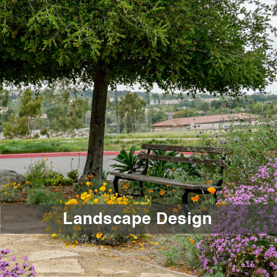 WW-LandscapeDesign