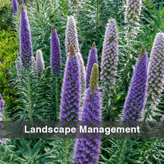 WW-LandscapeManagement