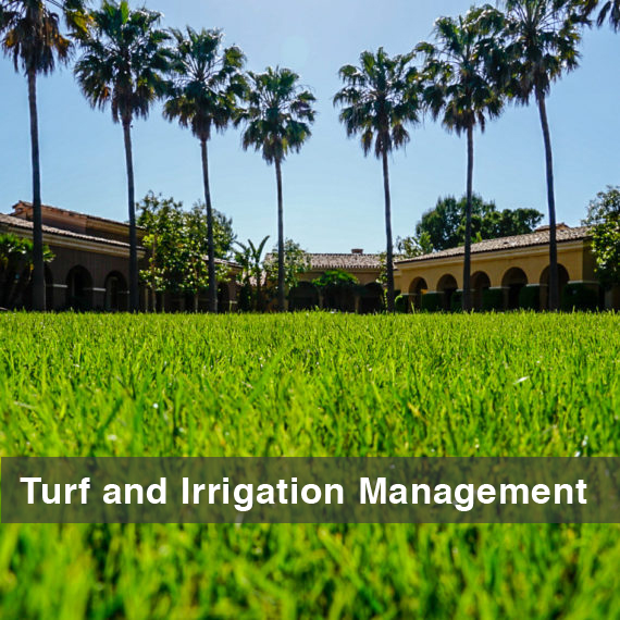 WW-TurfIrrigationManagement